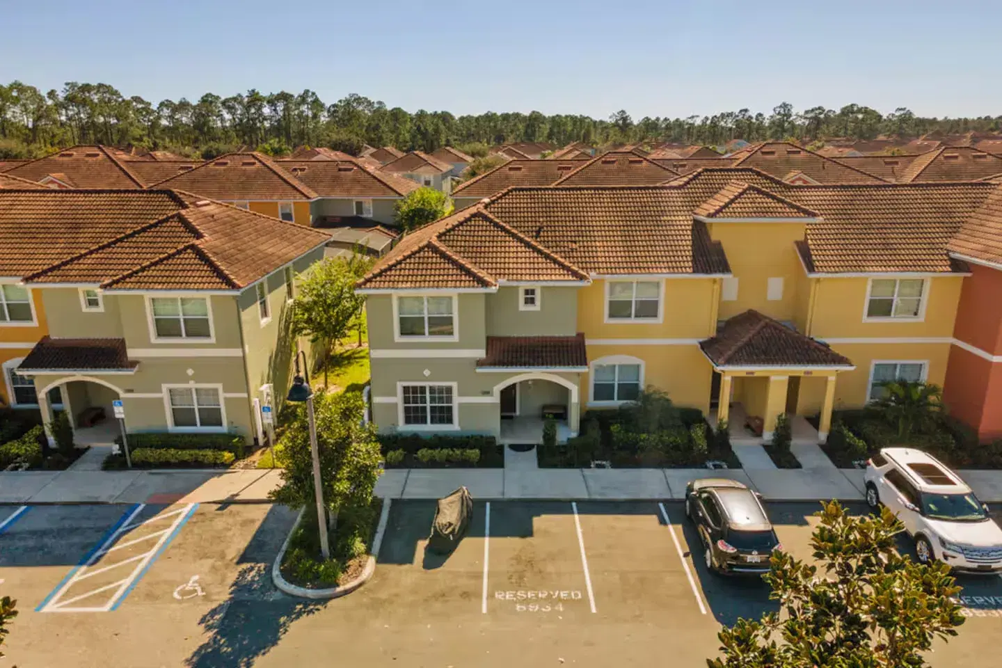 Paradise Palms — CVH-8934MP — 23