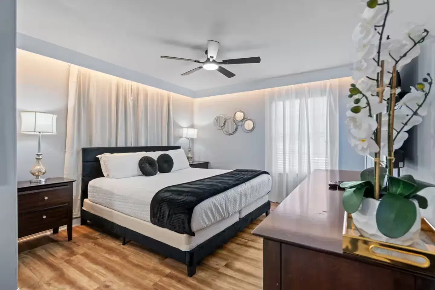 Paradise Palms — CVH-8934MP